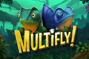 MultiFly! -
